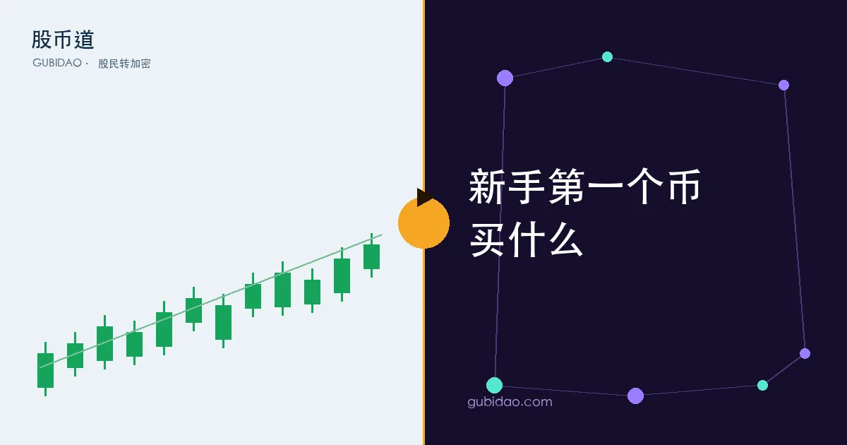 新手用股民的蓝筹思路选第一个加密货币